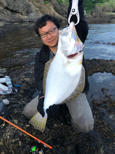 ヒラメの釣果