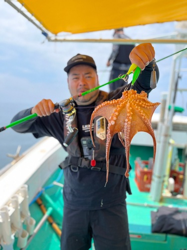 タコの釣果