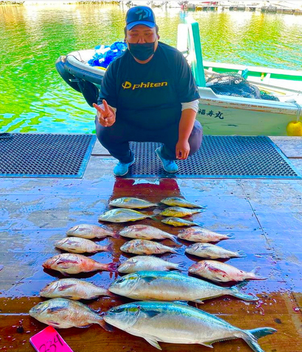 マダイの釣果