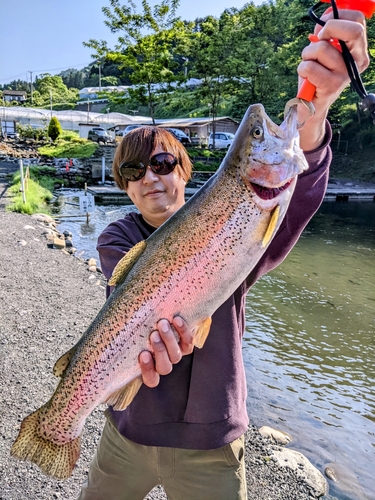 ニジマスの釣果