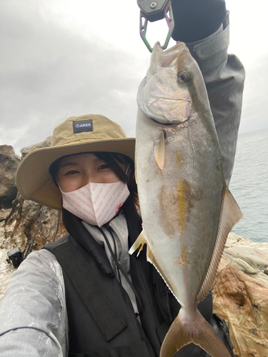 ショゴの釣果