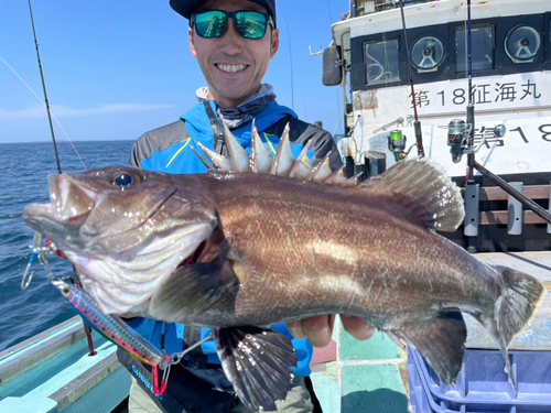 イシナギの釣果