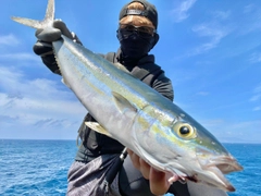 ツムブリの釣果