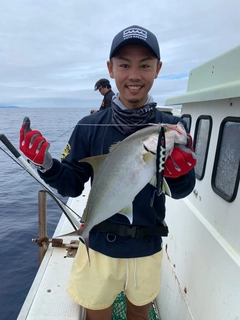 カンパチの釣果