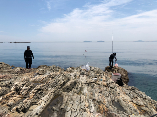 クロの釣果