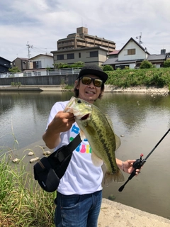 ブラックバスの釣果