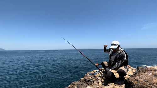 イシガキダイの釣果