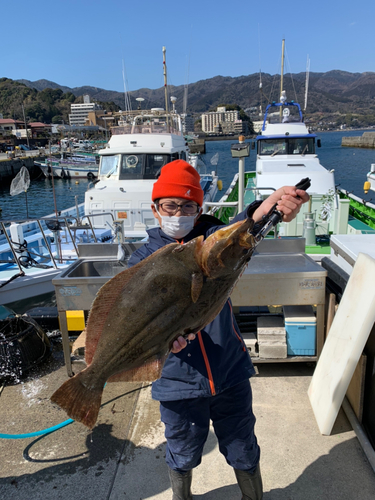 ヒラメの釣果