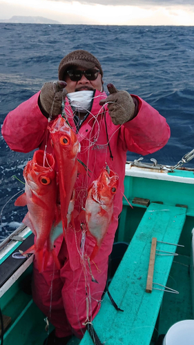 キンメダイの釣果