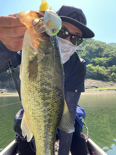 ブラックバスの釣果