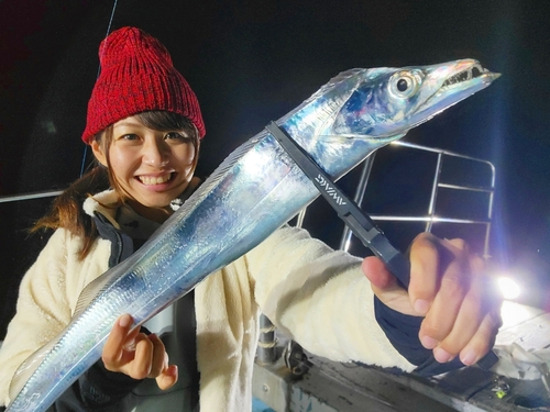 タチウオの釣果