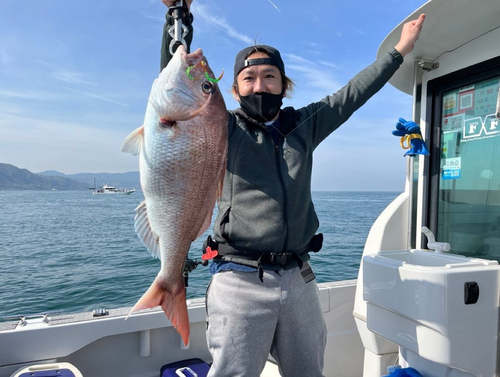 マダイの釣果