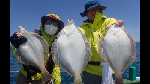 マガレイの釣果