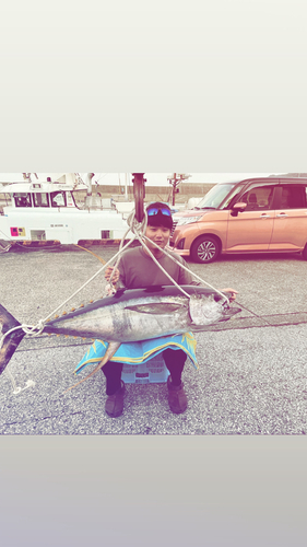 キハダマグロの釣果