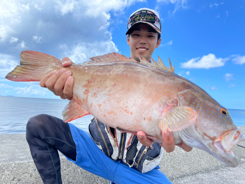 アカジンミーバイの釣果