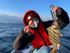 タカノハダイの釣果