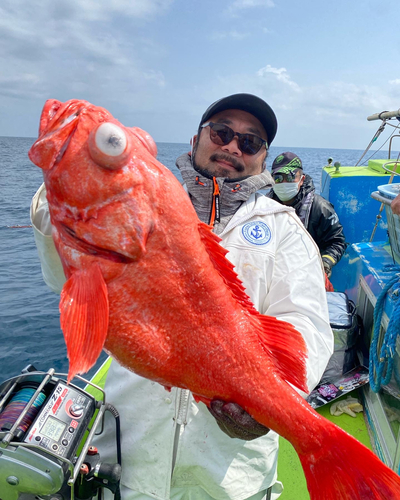 ベニアコウの釣果