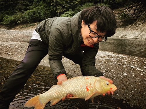 コイの釣果