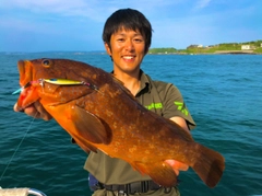 キジハタの釣果