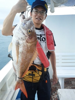 マダイの釣果