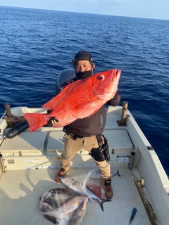 アミメフエダイの釣果