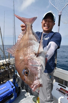 マダイの釣果