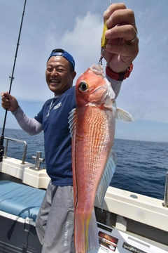 アマダイの釣果