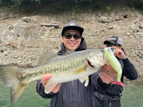 ブラックバスの釣果