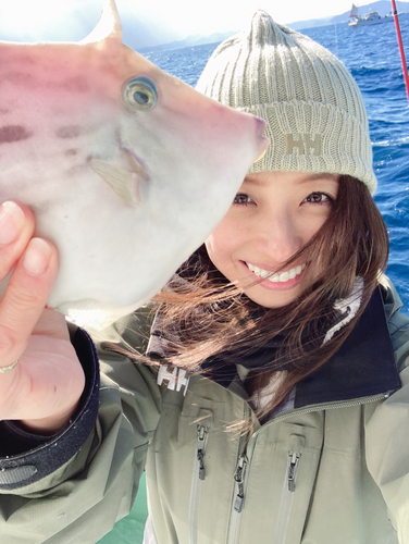 カワハギの釣果