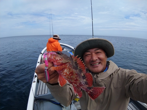 アカハタの釣果