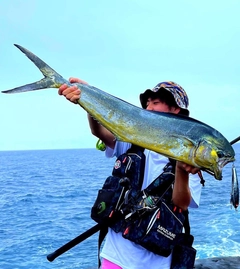 シイラの釣果