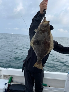 ヒラメの釣果