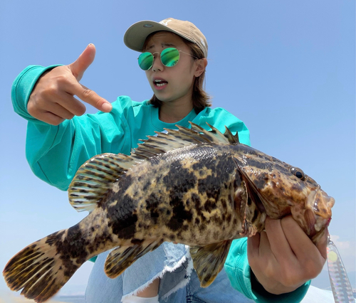 タケノコメバルの釣果