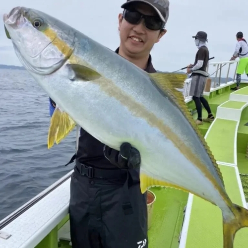 ヒラマサの釣果