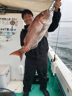 マダイの釣果