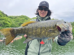 スモールマウスバスの釣果