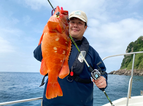 アカハタの釣果