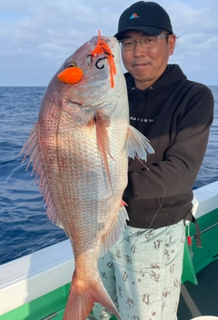 マダイの釣果