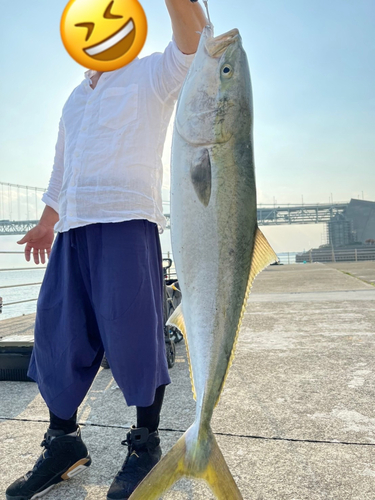 ブリの釣果