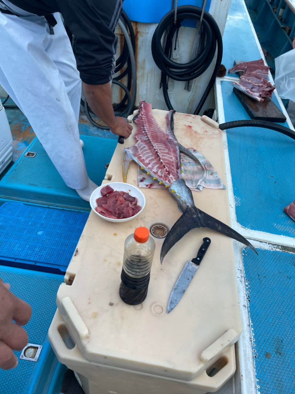 群馬の海人さんの釣果 2枚目の画像