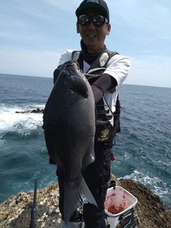 クチブトグレの釣果