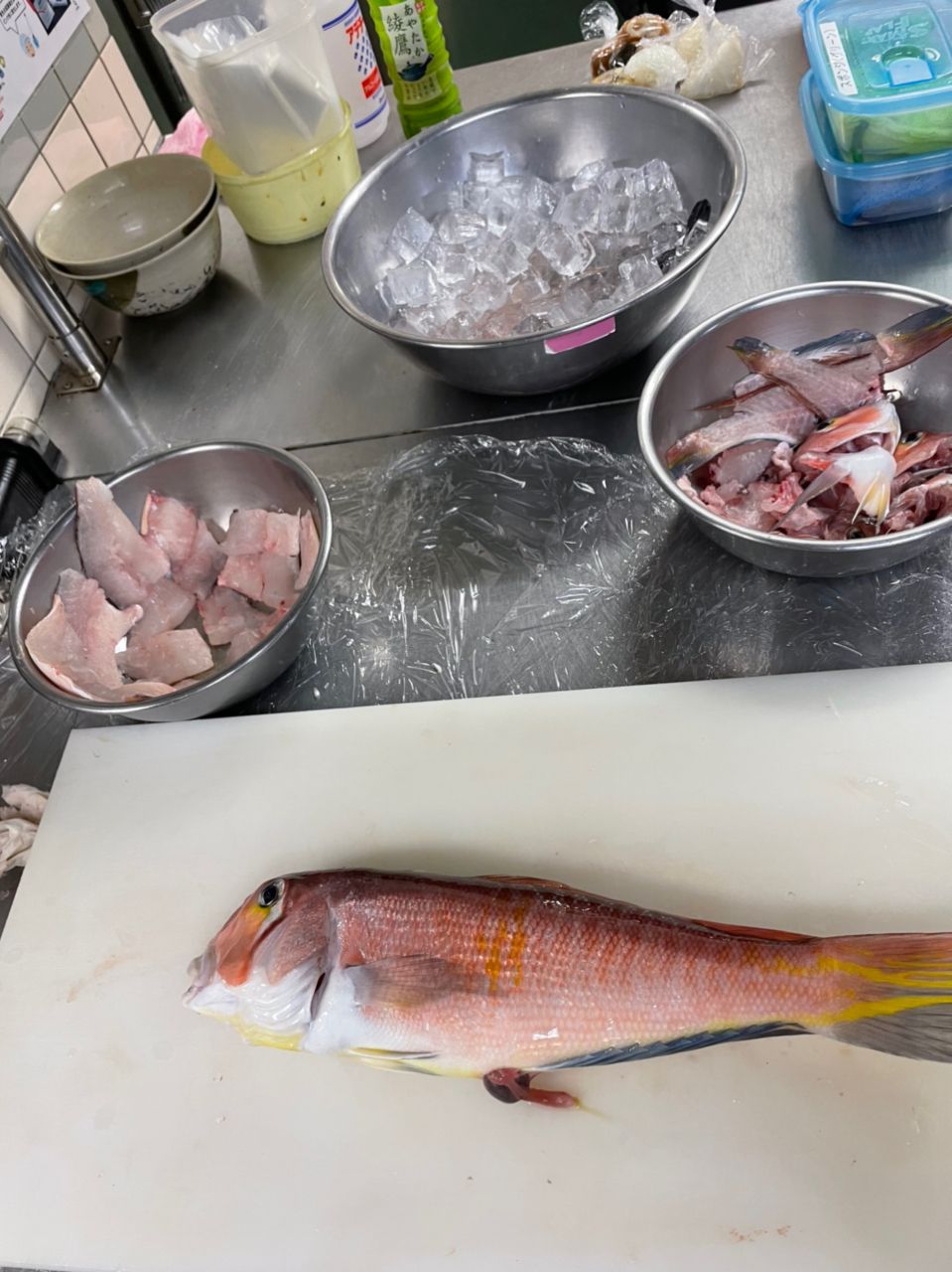 群馬の海人さんの釣果 3枚目の画像