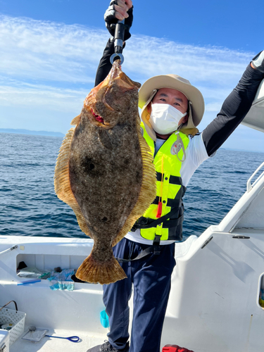 ヒラメの釣果