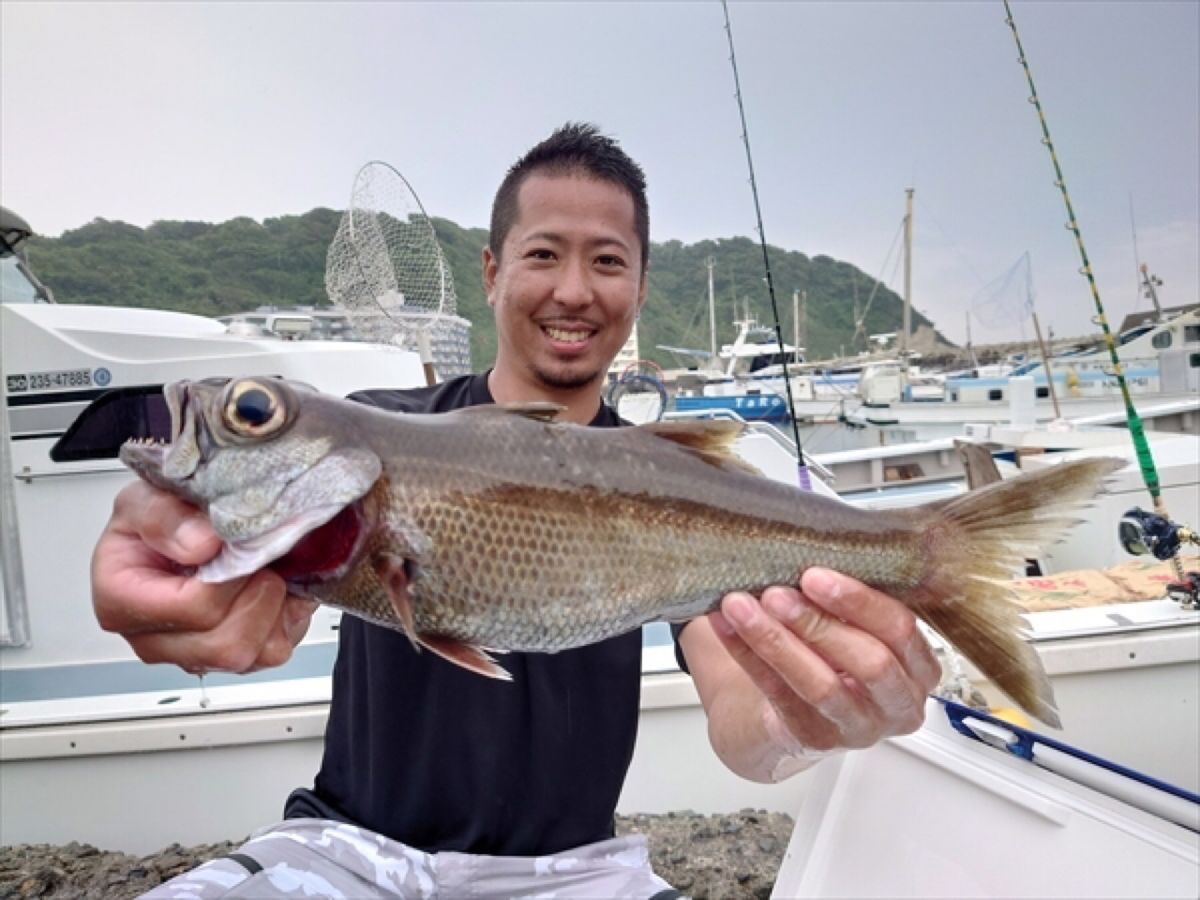 Nユパさんの釣果 2枚目の画像