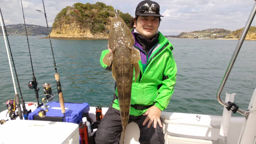 マゴチの釣果