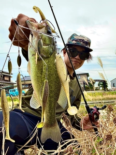 ブラックバスの釣果