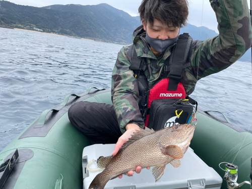 オオモンハタの釣果