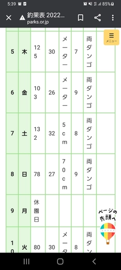 ヘラブナの釣果