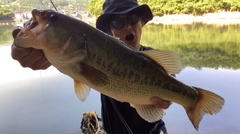 ブラックバスの釣果