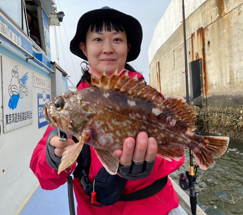 カサゴの釣果